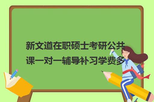 新文道在职硕士考研公共课一对一辅导补习学费多少钱