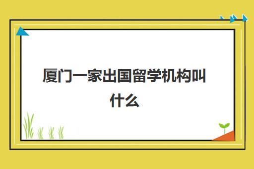 厦门一家出国留学机构叫什么(厦门的正规留学中介)