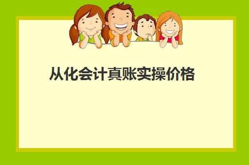 从化会计真账实操价格(会计外账主要做什么)