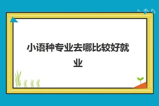 小语种专业去哪比较好就业(小语种的就业前景和方向)