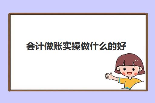 会计做账实操做什么的好(财务0基础可以干嘛)