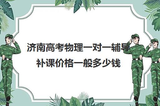 济南高考物理一对一辅导补课价格一般多少钱(高三物理一对一补课多少钱)