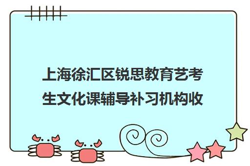 上海徐汇区锐思教育艺考生文化课辅导补习机构收费标准一览表