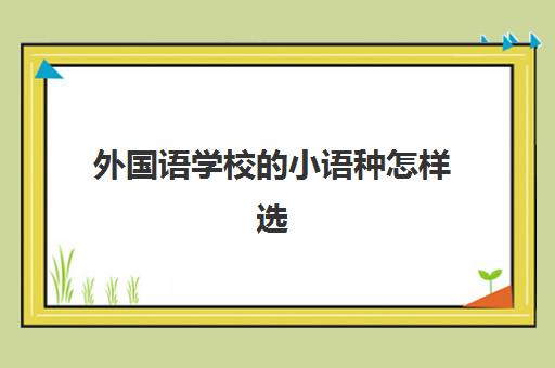 外国语学校的小语种怎样选(外国语学校跟普通学校有什么不同)