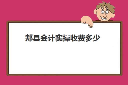 郏县会计实操收费多少(唐河会计培训班哪里有)