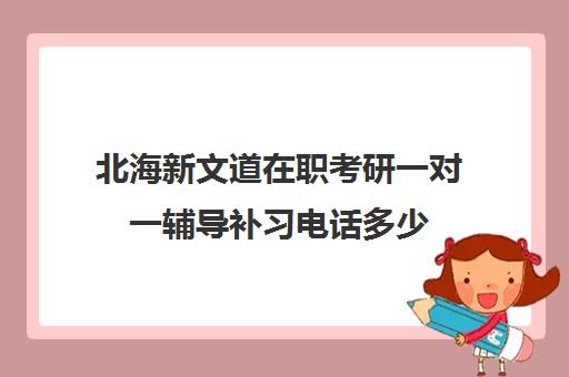 北海新文道在职考研一对一辅导补习电话多少