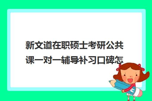 新文道在职硕士考研公共课一对一辅导补习口碑怎么样？