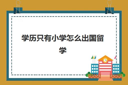 学历只有小学怎么出国留学(什么学历才可以留学)