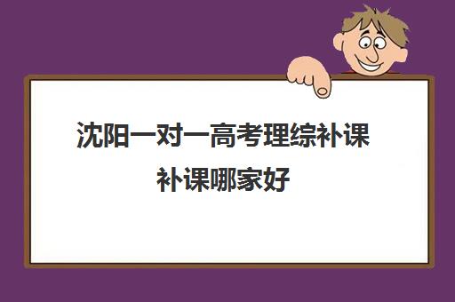 沈阳一对一高考理综补课补课哪家好(沈阳小学一对一补课价格)