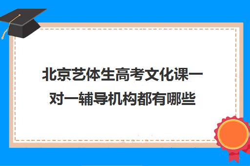 北京艺体生高考文化课一对一辅导机构都有哪些(艺考生文化课怎么冲刺)