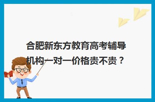 合肥新东方教育高考辅导机构一对一价格贵不贵？多少钱一年（新东方高三一对一收费价格