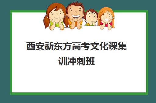 西安新东方高考文化课集训冲刺班(新东方艺考生集训班怎么样)