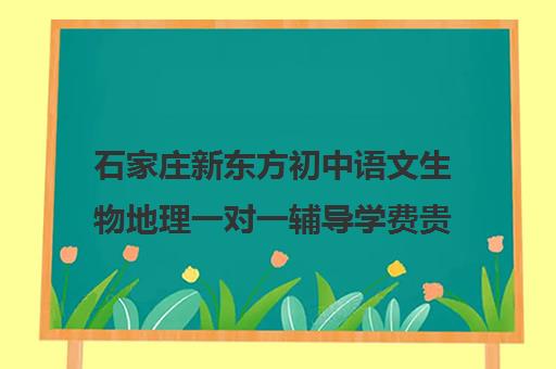 石家庄新东方初中语文生物地理一对一辅导学费贵吗(石家庄一对一辅导机构哪个好)