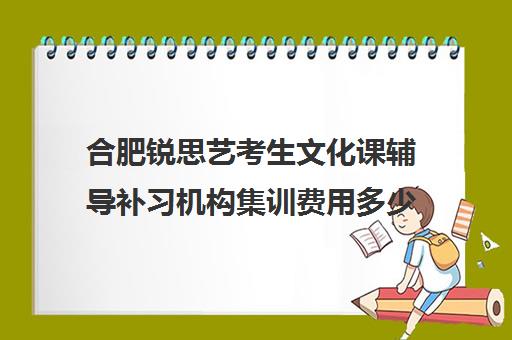 合肥锐思艺考生文化课辅导补习机构集训费用多少钱