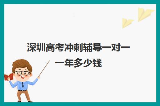 深圳高考冲刺辅导一对一一年多少钱(深圳高中补课一对一价格)