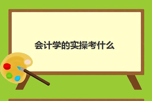 会计学的实操考什么(会计学要学什么课程)