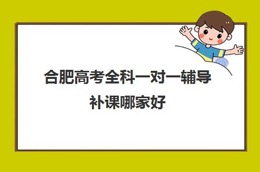 合肥高考全科一对一辅导补课哪家好(高一一对一补课有用吗)