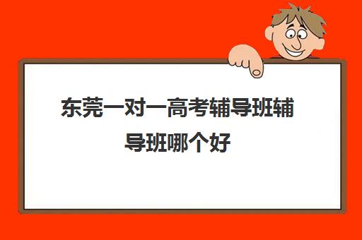 东莞一对一高考辅导班辅导班哪个好(高考一对一辅导班)