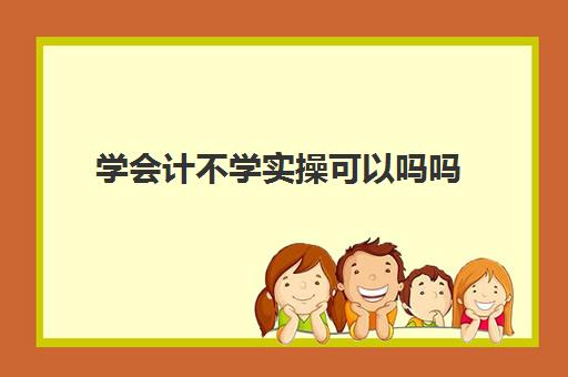 学会计不学实操可以吗吗(没学过会计直接工作难吗)