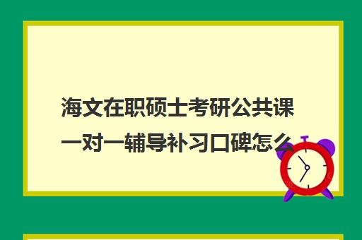 海文在职硕士考研公共课一对一辅导补习口碑怎么样？