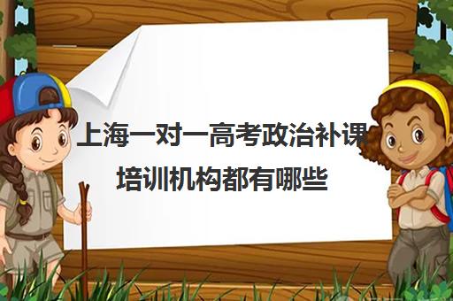 上海一对一高考政治补课培训机构都有哪些(十大教育培训机构排名)