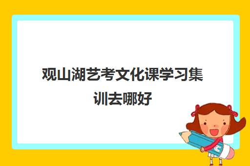 观山湖艺考文化课学习集训去哪好