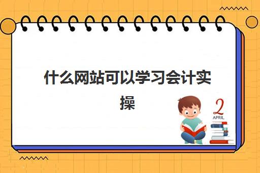 什么网站可以学习会计实操