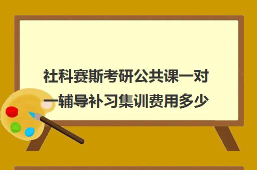 社科赛斯考研公共课一对一辅导补习集训费用多少钱