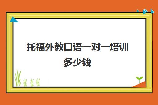 托福外教口语一对一培训多少钱(托福口语在线一对一)