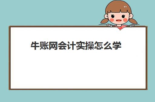 牛账网会计实操怎么学(会计做账流程新手必看)