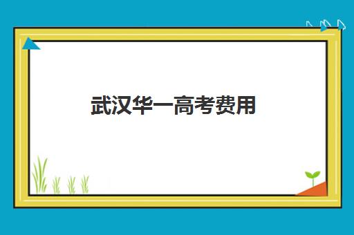 武汉华一高考费用(武汉地铁)