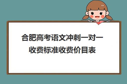 合肥高考语文冲刺一对一收费标准收费价目表(合肥一对一辅导价格表)