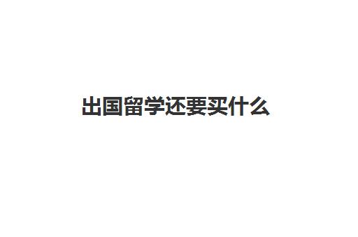 出国留学还要买什么(出国留学用什么笔记本电脑)