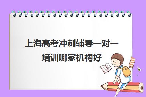 上海高考冲刺辅导一对一培训哪家机构好(网上一对一辅导哪个平台好)