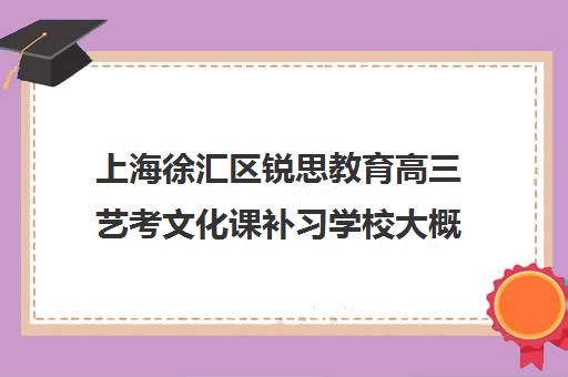 上海徐汇区锐思教育高三艺考文化课补习学校大概多少钱