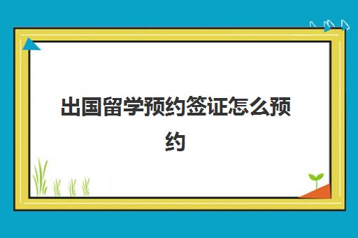 出国留学预约签证怎么预约(澳洲留学签证多久出签)