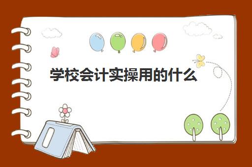 学校会计实操用的什么(学校的会计需要做哪些工作)