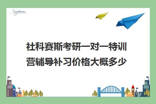 社科赛斯考研一对一特训营辅导补习价格大概多少钱