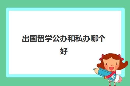 出国留学公办和私办哪个好(民办本科和国际本科哪个好)