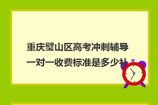 重庆璧山区高考冲刺辅导一对一收费标准是多少补课多少钱一小时(高中生补课一对一多少