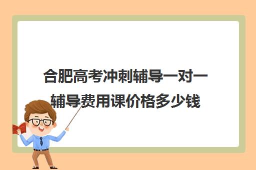 合肥高考冲刺辅导一对一辅导费用课价格多少钱(合肥比较出名辅导班)