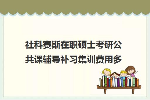 社科赛斯在职硕士考研公共课辅导补习集训费用多少钱