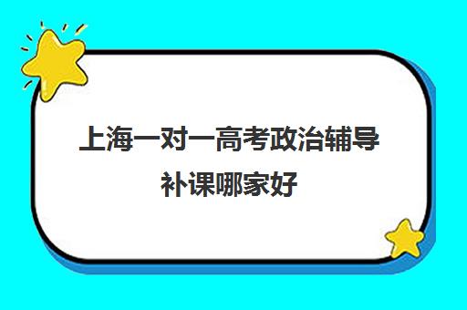 上海一对一高考政治辅导补课哪家好(上海补课哪个机构比较好)