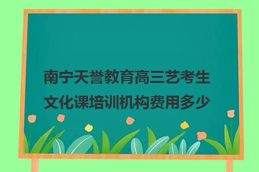 南宁天誉教育高三艺考生文化课培训机构费用多少钱(南宁艺考培训机构有哪些)