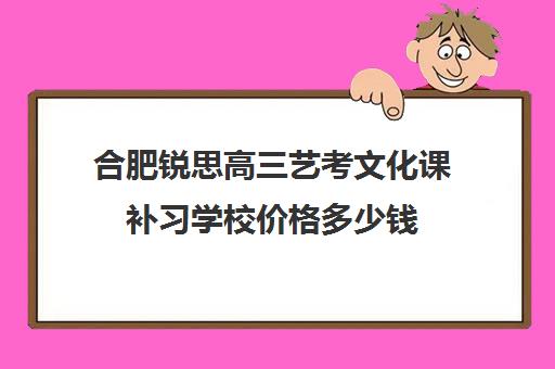 合肥锐思高三艺考文化课补习学校价格多少钱