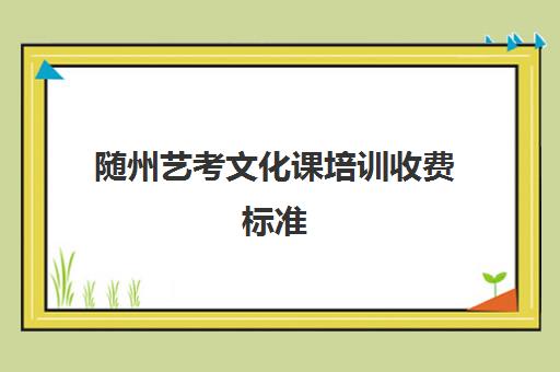 随州艺考文化课培训收费标准(随州市路边停车收费)