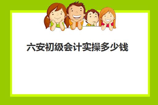 六安初级会计实操多少钱(初级会计多少钱一科)