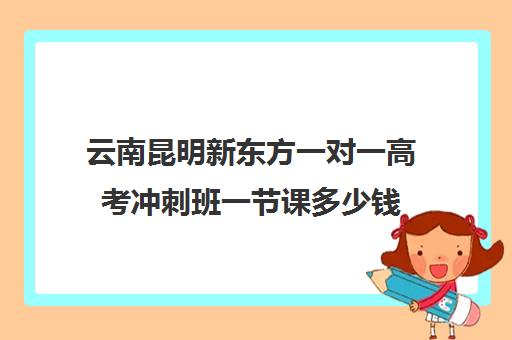 云南昆明新东方一对一高考冲刺班一节课多少钱(昆明一对一补课哪家好)