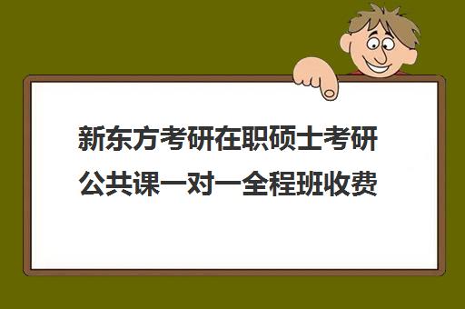 新东方考研在职硕士考研公共课一对一全程班收费价格多少钱（新东方考研一对一多少钱）