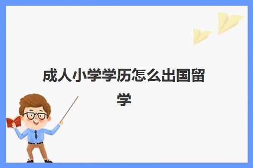 成人小学学历怎么出国留学(小学学历可以参加成人高考吗)